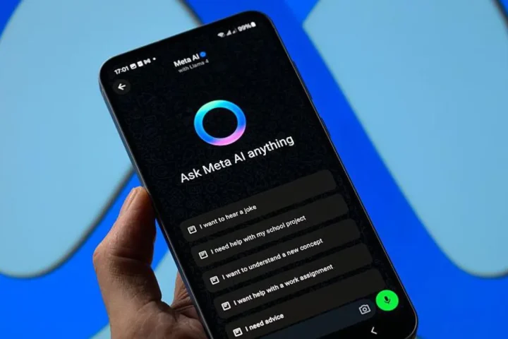 Meta premium subscriptions
